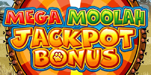 La roue bonus du mega jackpot